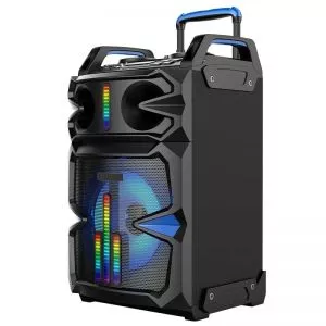 Haut Parleur Gold Sound Rechargeable Bluetooth Avec Karaoké 80W